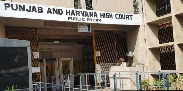 P&H HC Quashes FIR Against Woman Who Dressed Pet Dog as Lord Krishna on Janmashtami