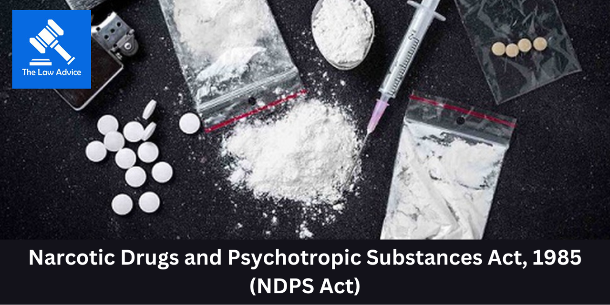 “Target Bigger Sharks, Not Small Offenders”: SC on Punjab Drug Menace